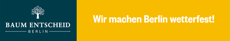 BaumEntscheid (2).png
