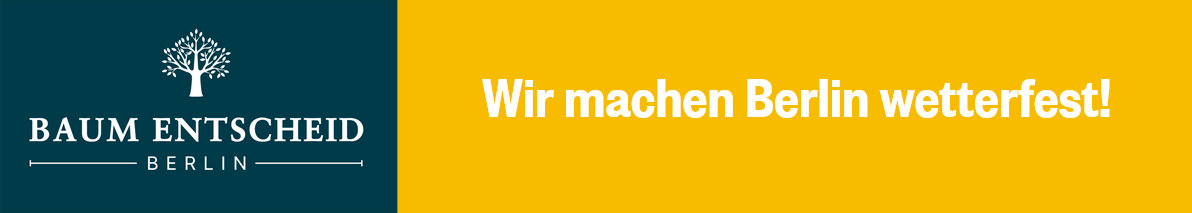 BaumEntscheid (2).png