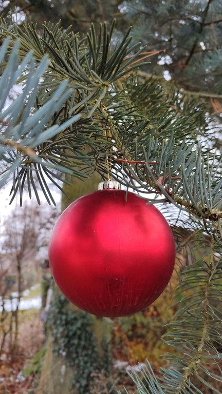 Weihnachtsbaum.jpeg