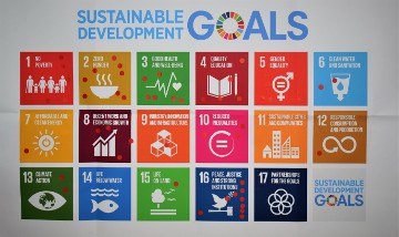 Sustainable Development Goals Sustainable Development Goals
