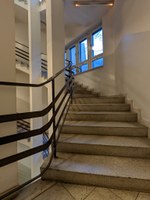 PXL_20220104_074702798.jpg